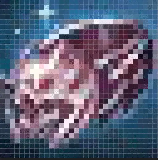 555.webp