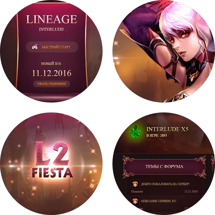 l2fiesta 100%.webp