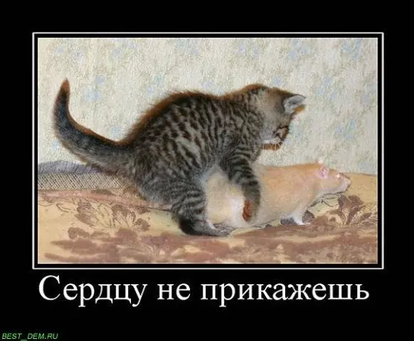 x_14e2255a-копия.webp