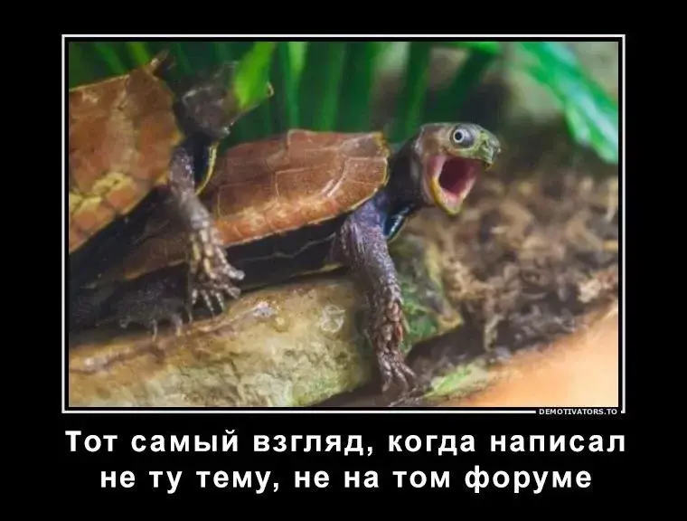 dem.webp