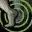 Skill_221.webp