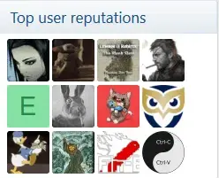 5.webp