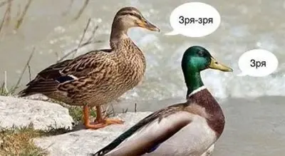 14066862966747.webp