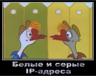 belyiy_ip_adres_seryiy.webp