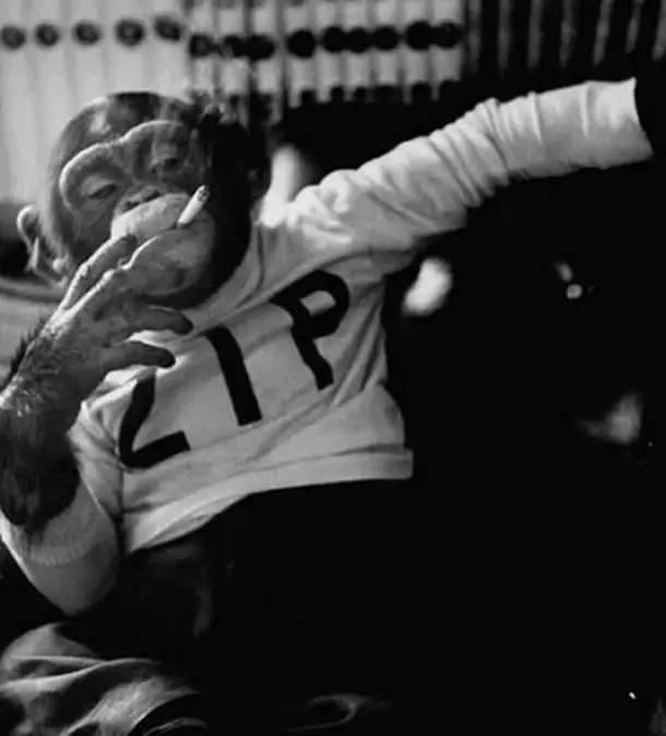 mi2tn.webp