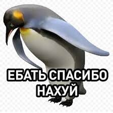 Без названия.jpg