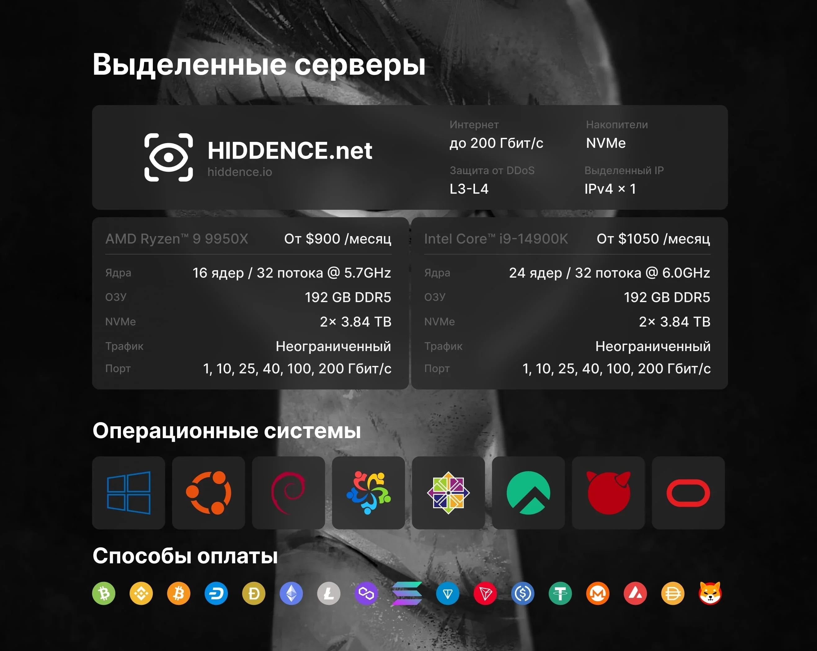 dedicated-ru.webp