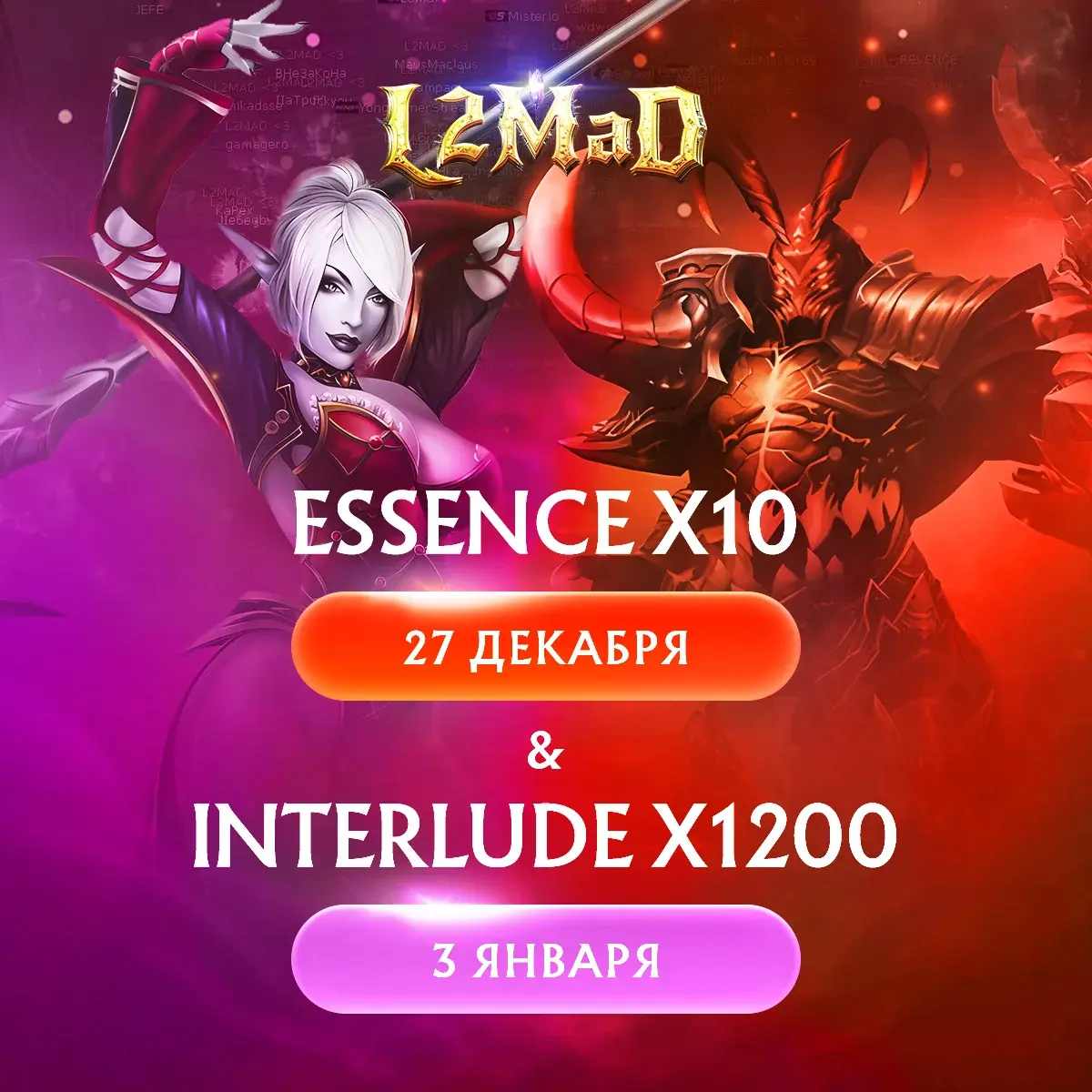 mad1200x1200-6.webp