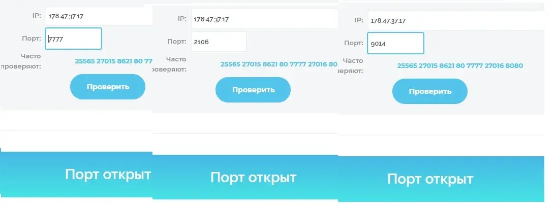 Новый точечный рисунок (2).webp