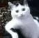 1754645508327.webp