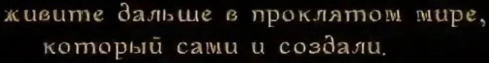 1111.webp