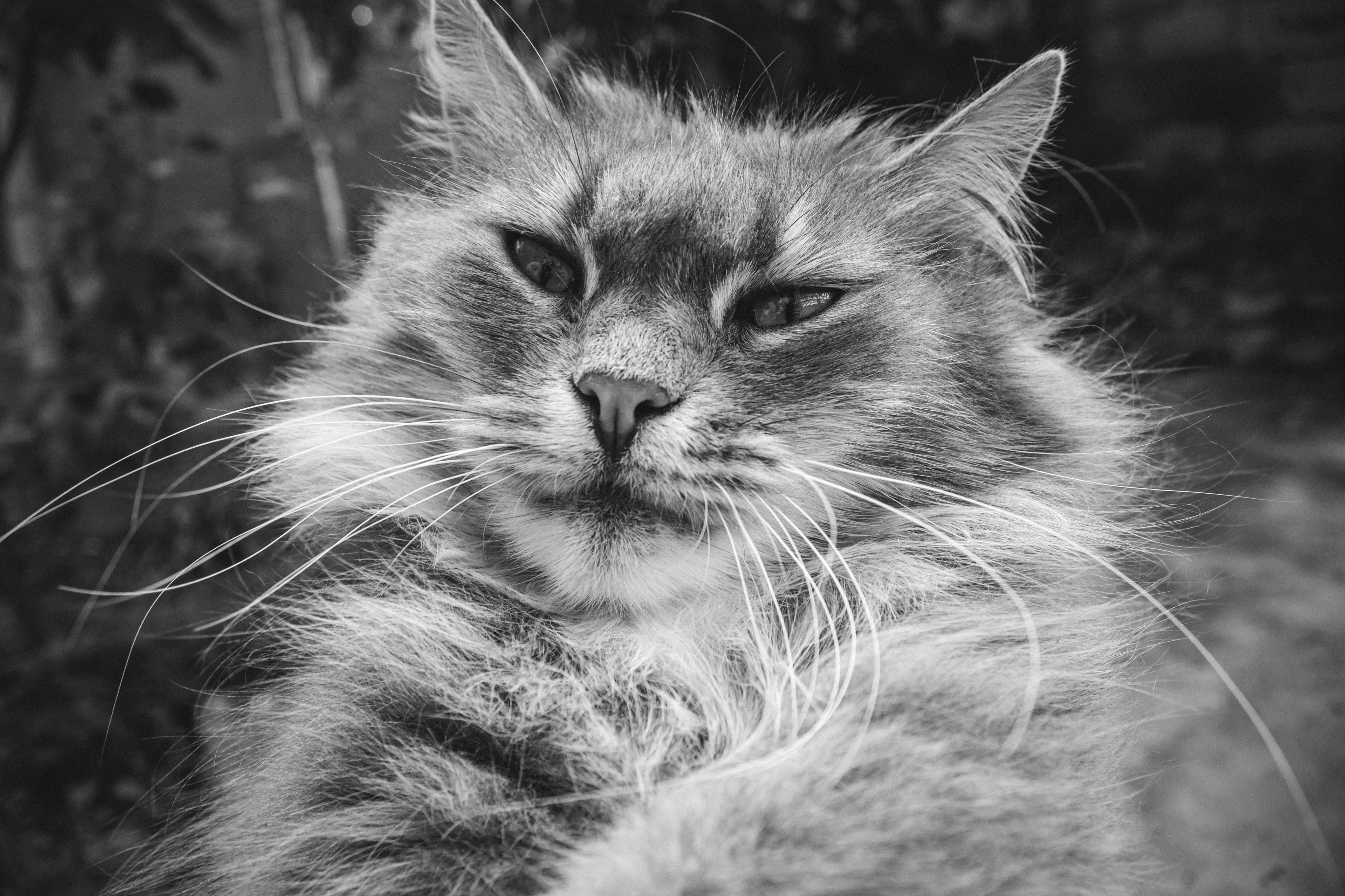 pexels-photo-17018345.webp