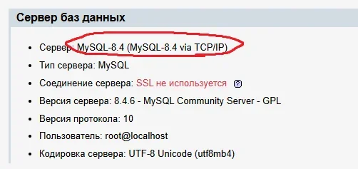 12.webp
