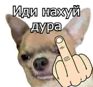 1769703750514.webp