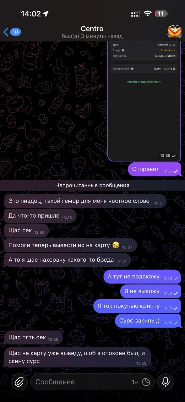 1772018850146.webp