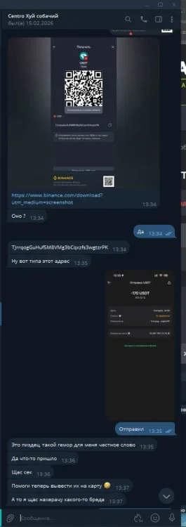 1772018885488.webp