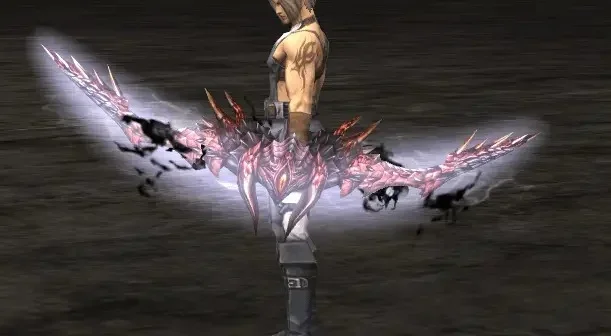 WhatsApp Image 2026-02-26 at 12.24.57.webp