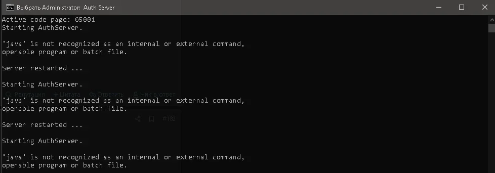 Безымянный1.webp
