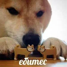 1781805822911.webp
