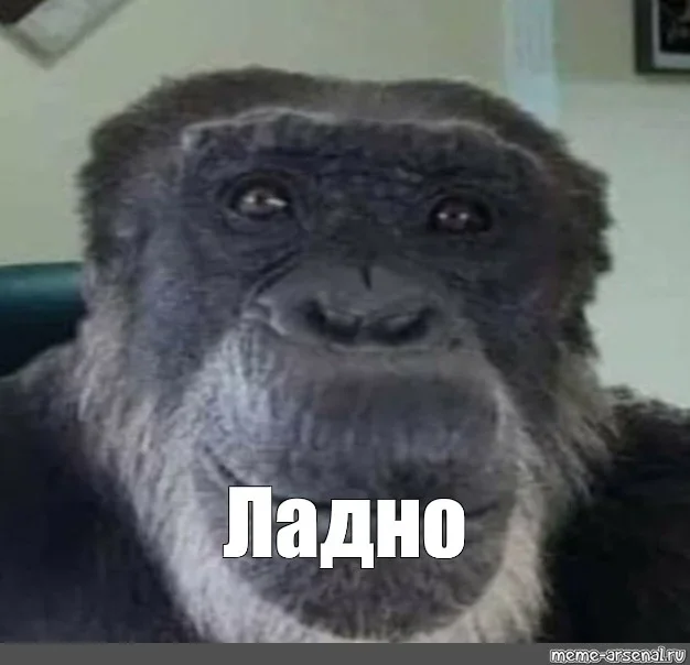 20ca72897075152f30f6a4079d97e29e.webp