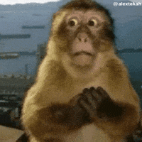200.gif