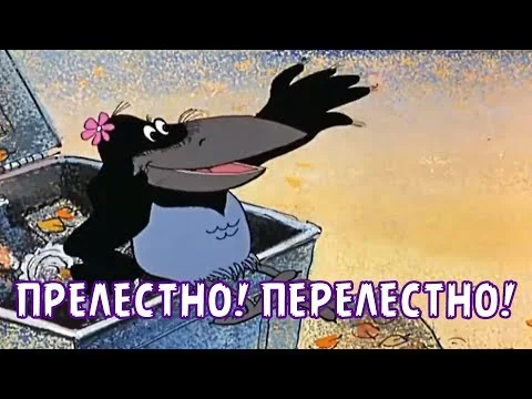 1787000518176.webp