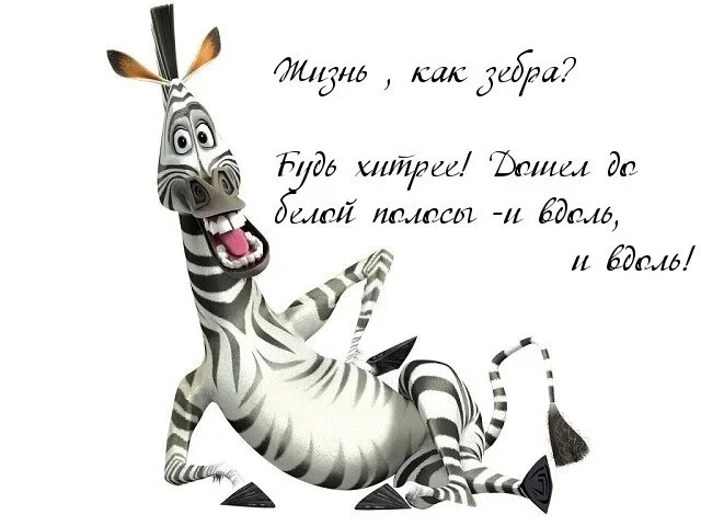 изображение_2026-10-12_132151801.webp