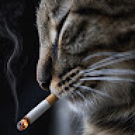 SpellB0rn