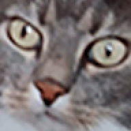 EIVANOVUE