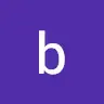 BRAGUSL2