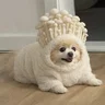 Y.Y