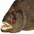 piranhas