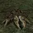 mudcrab2142