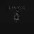 linyicv