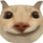 mgzhzh