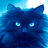 OldCat