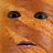 nerazumv