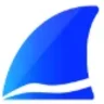 Wireshark