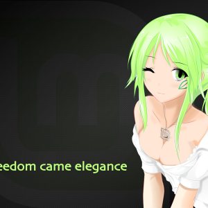 A035188816_anime-girl-linuxmint