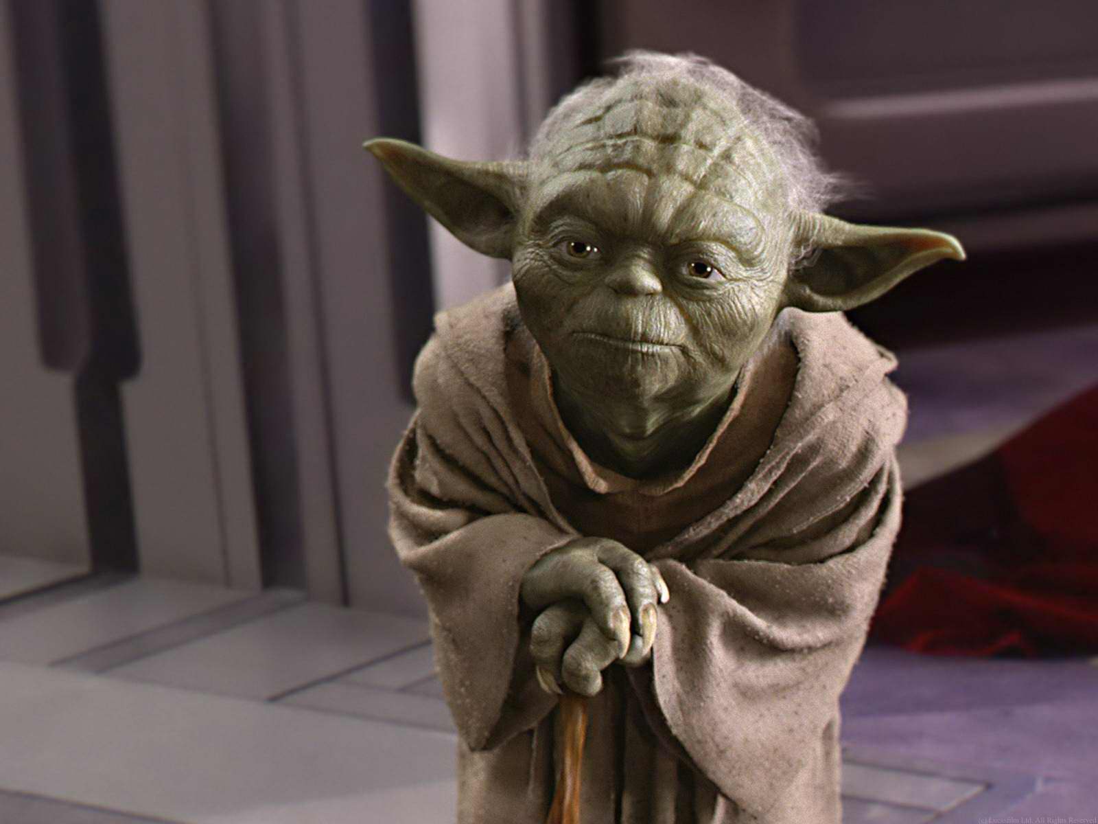 Magistr Yoda
