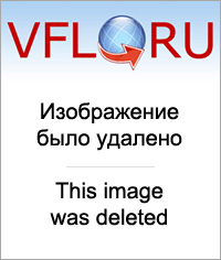 10640849.jpg
