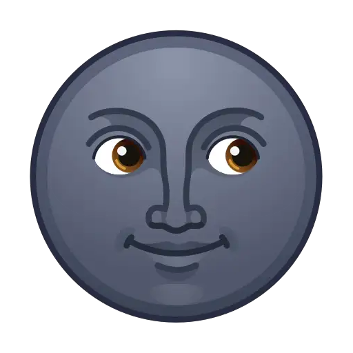 🌚
