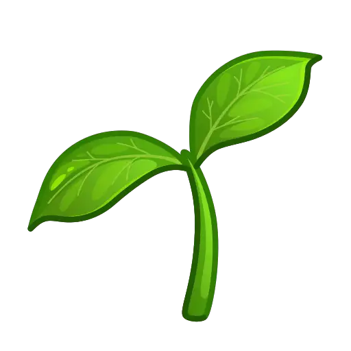 Саженцы :seedling: 🌱