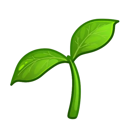 Саженцы :seedling: 🌱