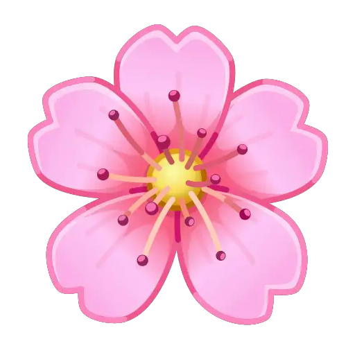 Цветение вишни :cherry_blossom: 🌸