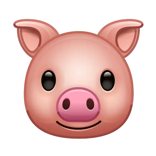 🐷