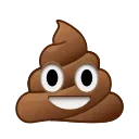 shit