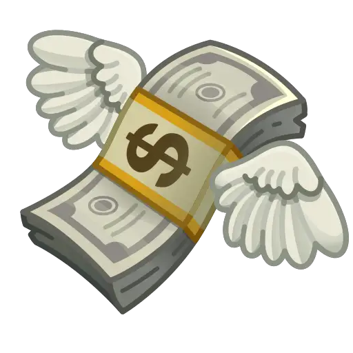 💸