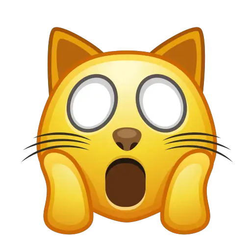 🙀