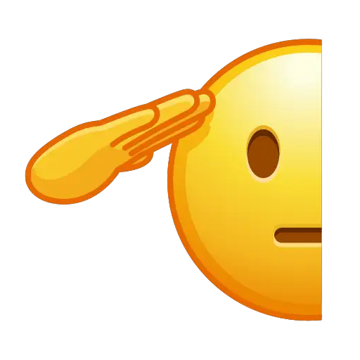 🫡